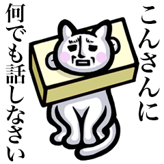 Stray cat!! Konsan