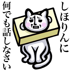 Stray cat!! Shihorin