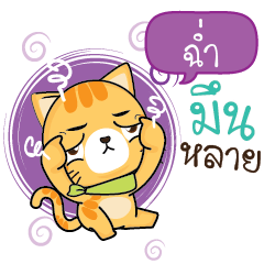 CHUM Sesa cat_E