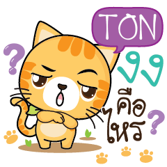 TON Sesa cat_S e