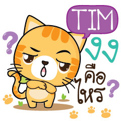 TIM Sesa cat_S e