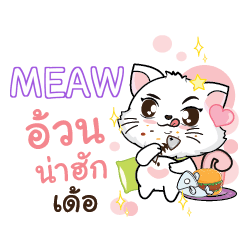 MEAW Seenuan cat_E e