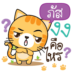 PUSS Sesa cat_S