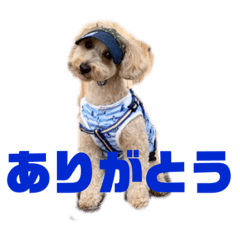 milky_20190706195553 2