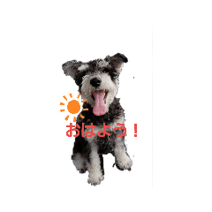 CHIHIRO_20190706220206