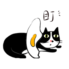 蛋貓