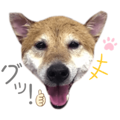 mochi_20190706210624