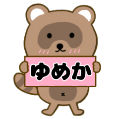 Raccoon3 Yumeka