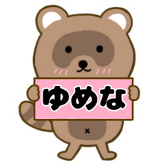 Raccoon3 Yumena