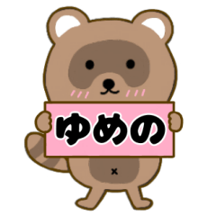 Raccoon3 Yumeno