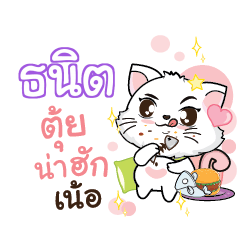 TANIT Seenuan cat_N