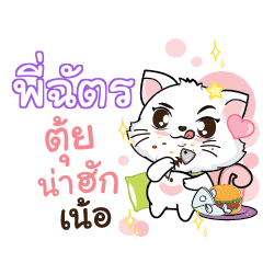 PICHAT Seenuan cat_N