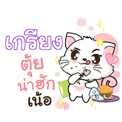 KRIENG Seenuan cat_N