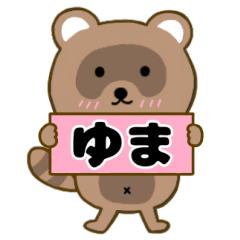 Raccoon3 Yuma