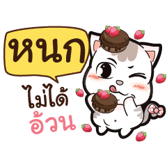 NOK2 A Lazy Pussycat