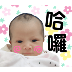 胖胖小豬妹(瑄瑄)