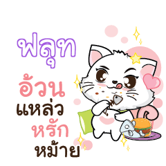 FLUT Seenuan cat_S
