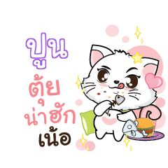 PUNE Seenuan cat_N