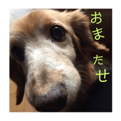 hana_20190114170841