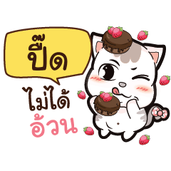 PEED A Lazy Pussycat