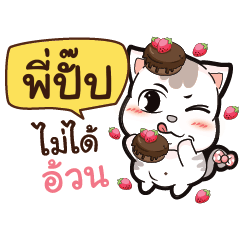 PIPUP A Lazy Pussycat