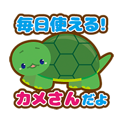 Cute little-turtle
