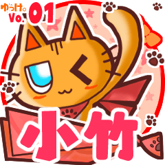 Cute cat's name sticker MY190219N28