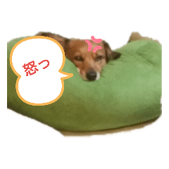 rei_20190707104441
