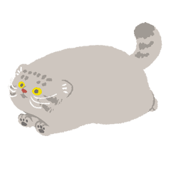無料ダウンロード マヌルネコ イラスト 透明イラスト画像 無料ダウンロード マヌルネコ イラスト 透明イラスト画像