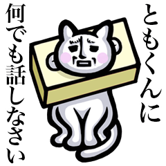 Stray cat!! Tomokun