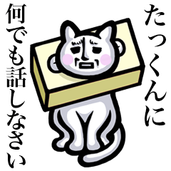 Stray cat!! Takkun
