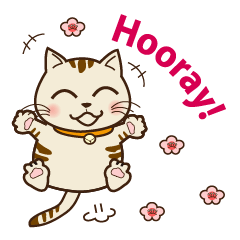 Umeko the Kitty Cat: Everyday Phrases