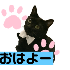 JIJI_20190706230643