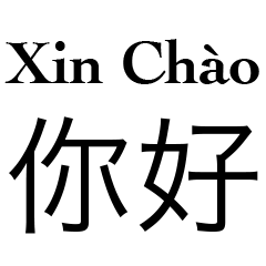 ベトナム語 - 中国語