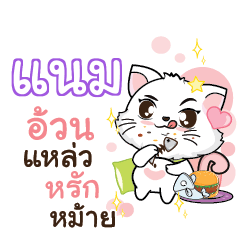 NAM6 Seenuan cat_S