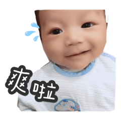 皓皓の表情包2