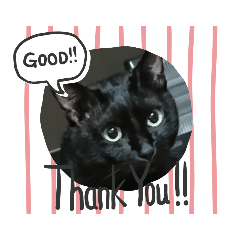 JUNKO_20190706231910