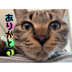 akane_20190113145407