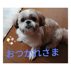 chiharu_20190707163452