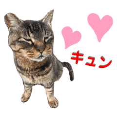 Natsumi_20190707170100