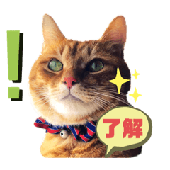 tomomi_20190707145635