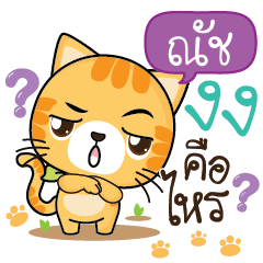 NACH Sesa cat_S