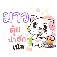 MAW8 Seenuan cat_N