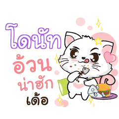 DONUT Seenuan cat_E
