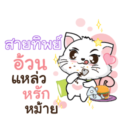 SAITIP Seenuan cat_S