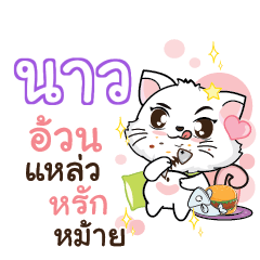 NOW Seenuan cat_S