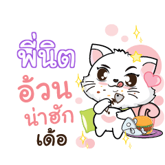 PINIT Seenuan cat_E – LINE貼圖 | LINE STORE