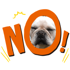 Boo_20190707193752