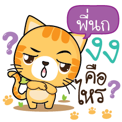 PINOK Sesa cat_S