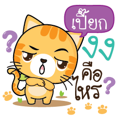 PIEK2 Sesa cat_S